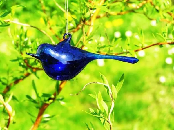 Ptáček modrý